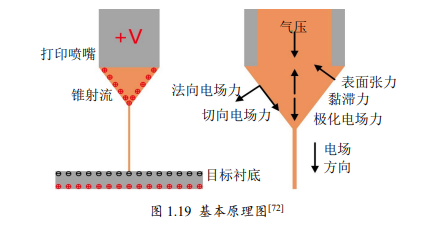 高壓放大器ATA-7050在微納3D打印系統(tǒng)中的具體應(yīng)用